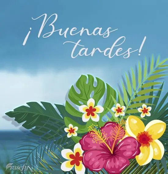 ¡Buenas tardes!