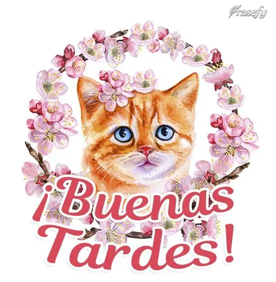 ¡Buenas tardes!