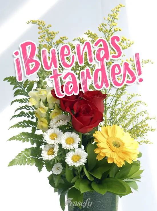 ¡Buenas tardes!