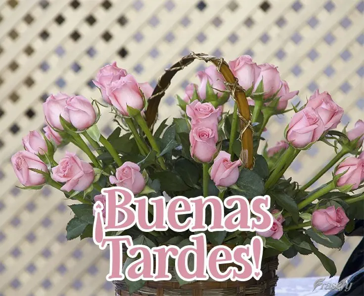 ¡Buenas tardes!