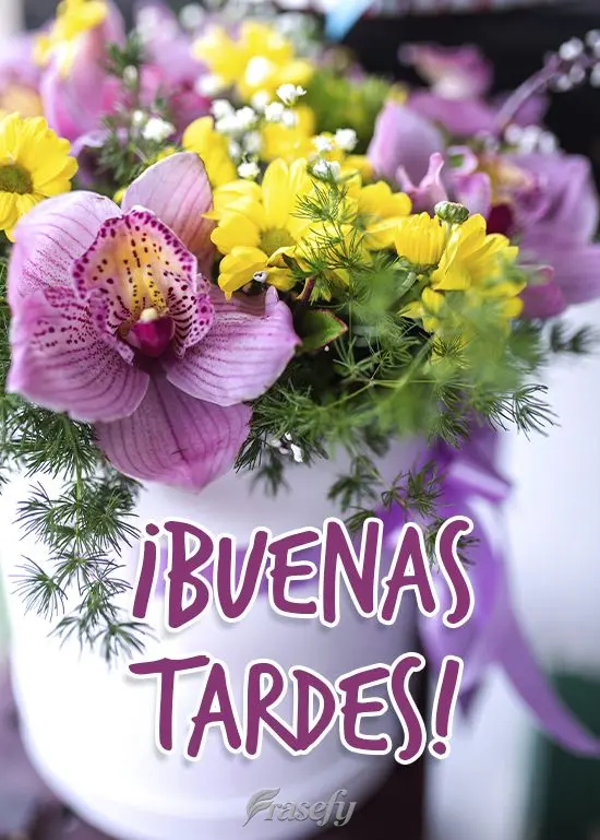 ¡Buenas tardes!