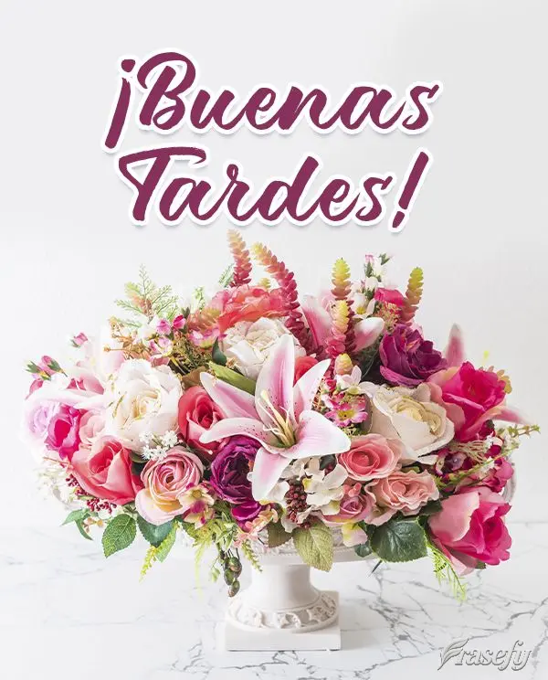¡Buenas tardes!