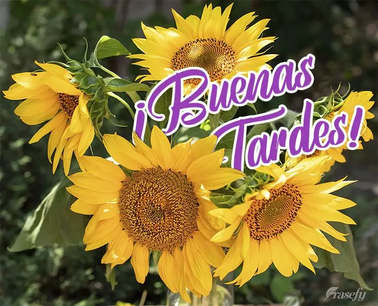 ¡Buenas tardes!