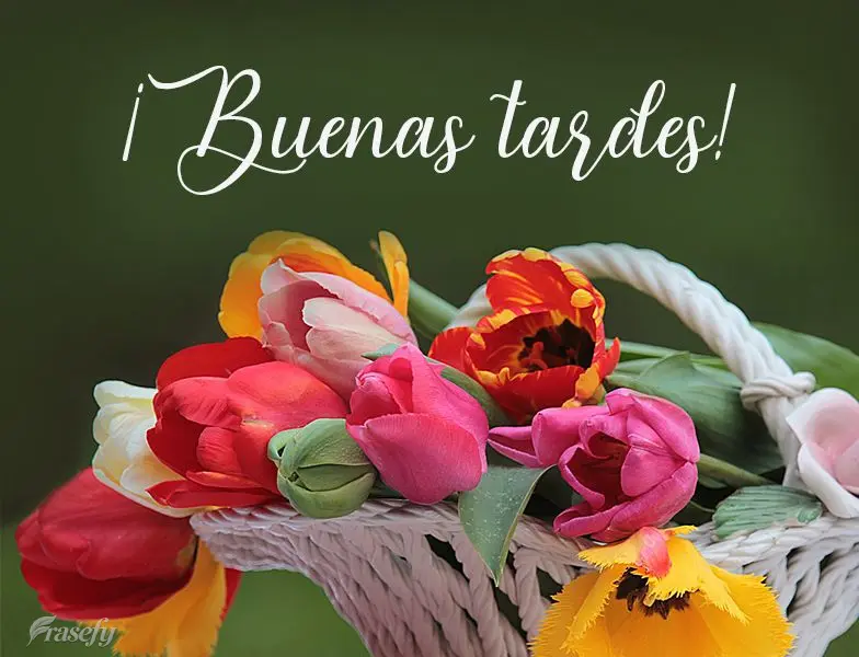 ¡Buenas tardes!