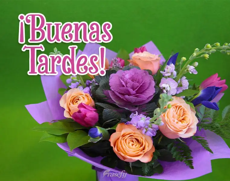 ¡Buenas tardes!