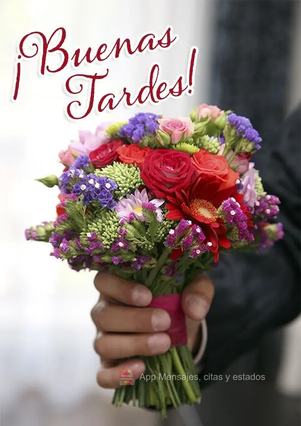 ¡Buenas tardes!