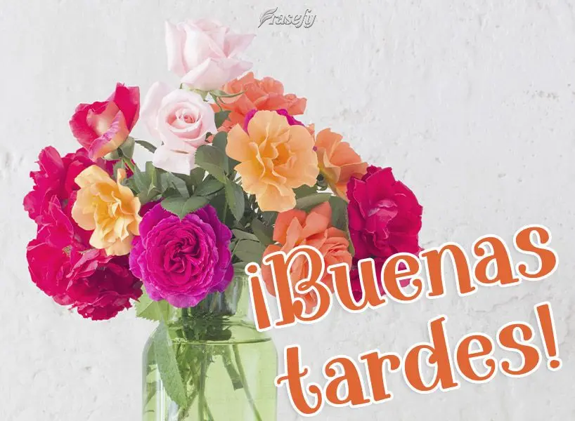¡Buenas tardes!