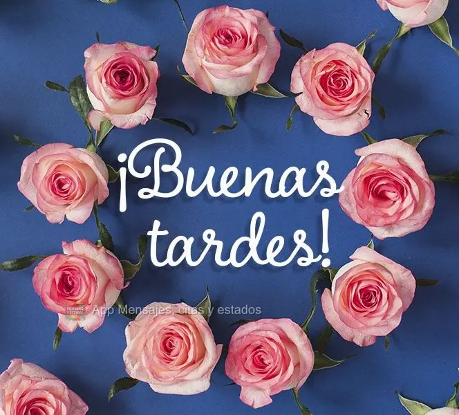 ¡Buenas tardes!