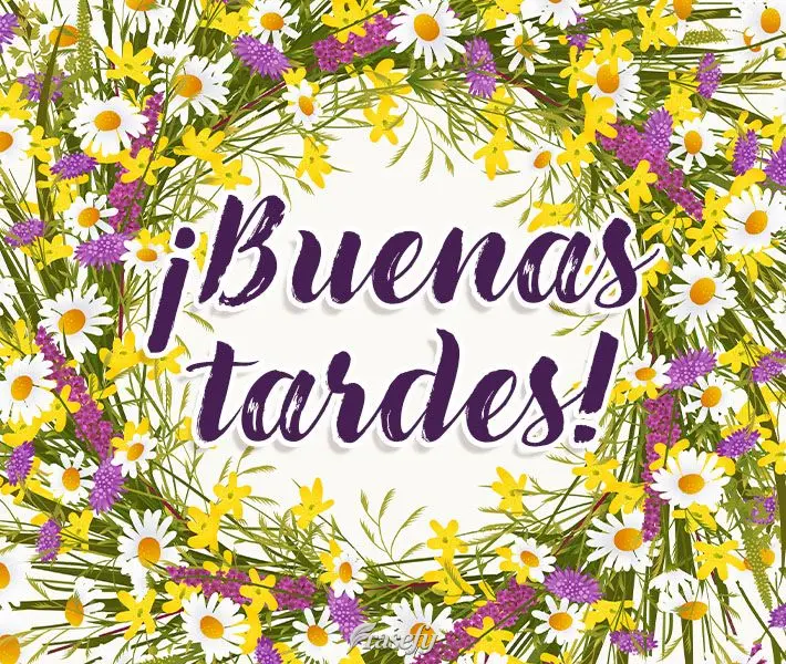 ¡Buenas tardes!