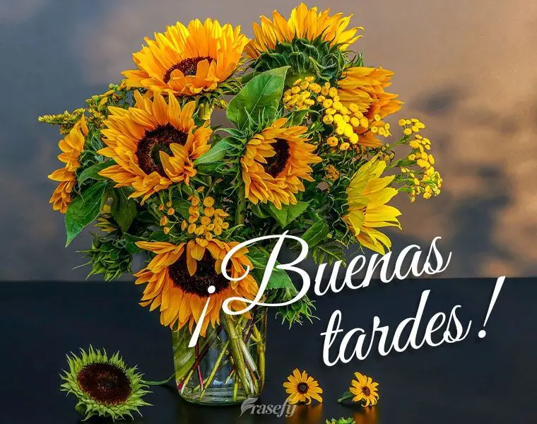¡Buenas tardes!
