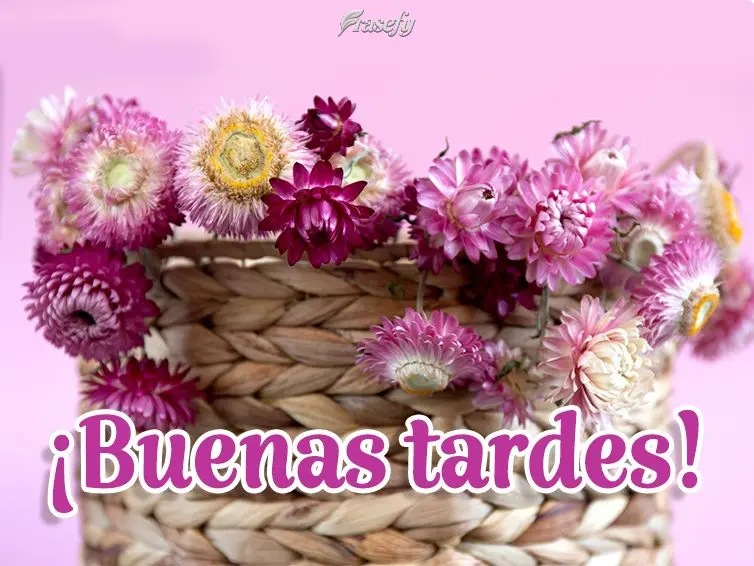 ¡Buenas tardes!