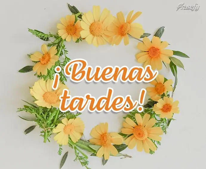 ¡Buenas tardes!