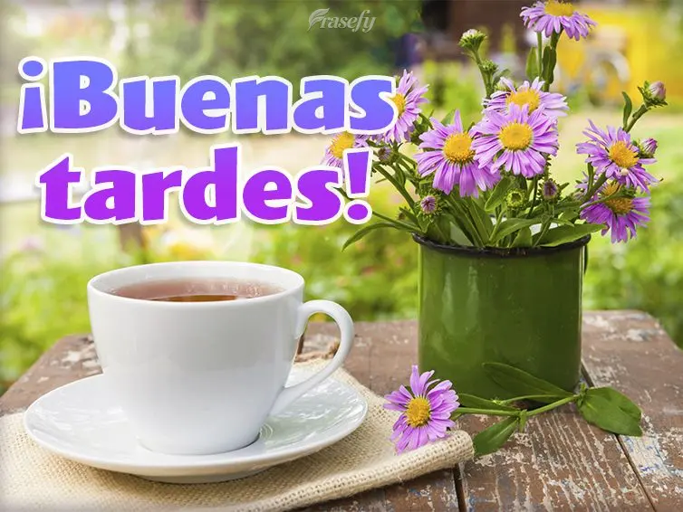 ¡Buenas tardes!