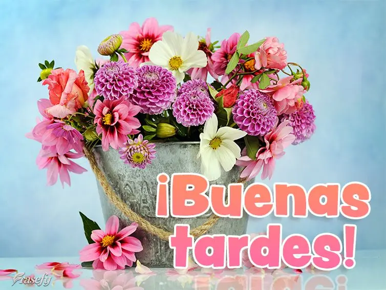 ¡Buenas tardes!