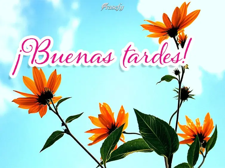 ¡Buenas tardes!