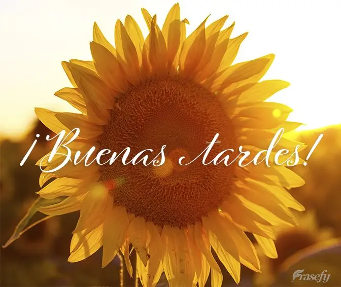 ¡Buenas tardes!