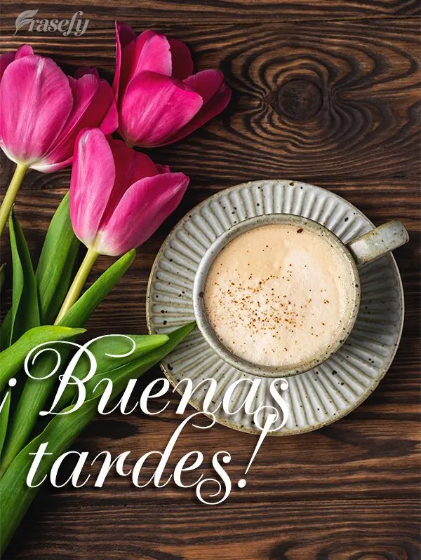 ¡Buenas tardes!