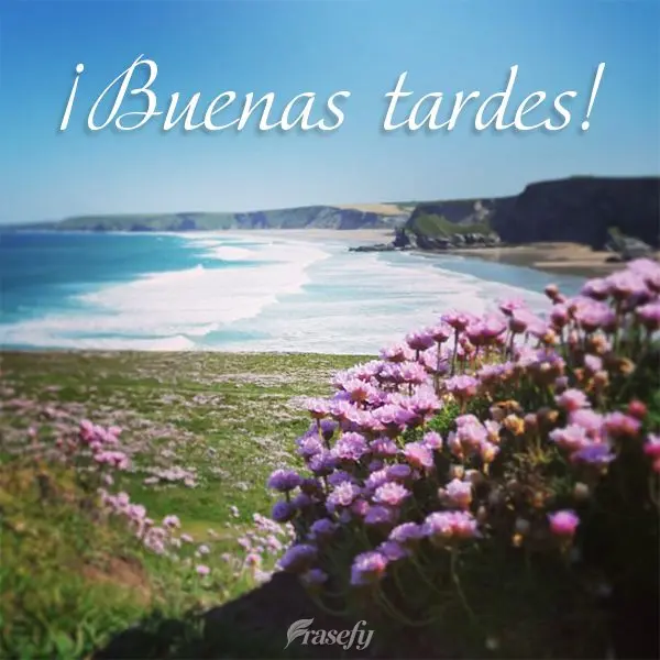 ¡Buenas tardes!