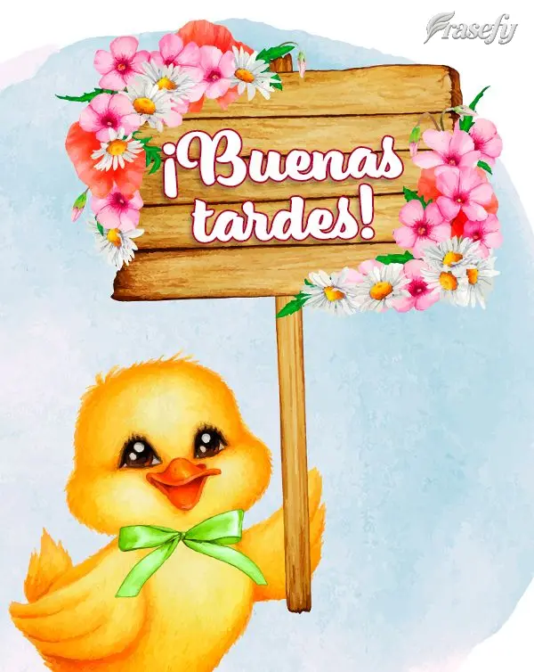 ¡Buenas tardes!