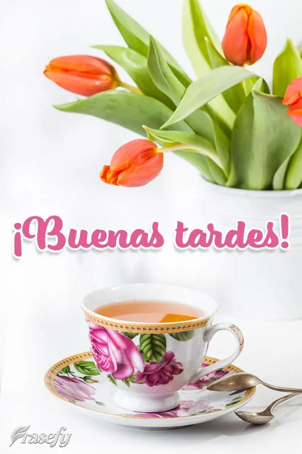 ¡Buenas tardes!
