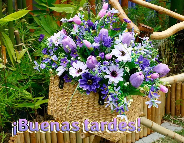 ¡Buenas tardes!