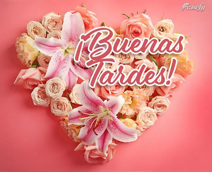 ¡Buenas tardes!