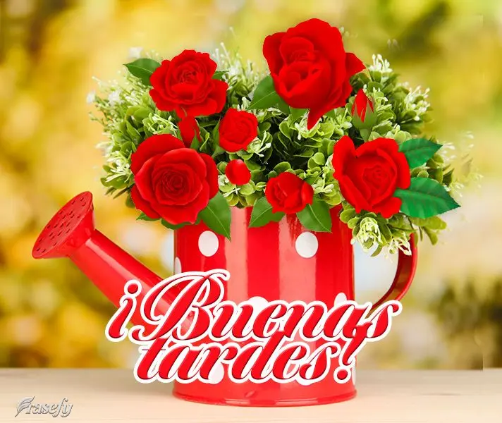 ¡Buenas tardes!