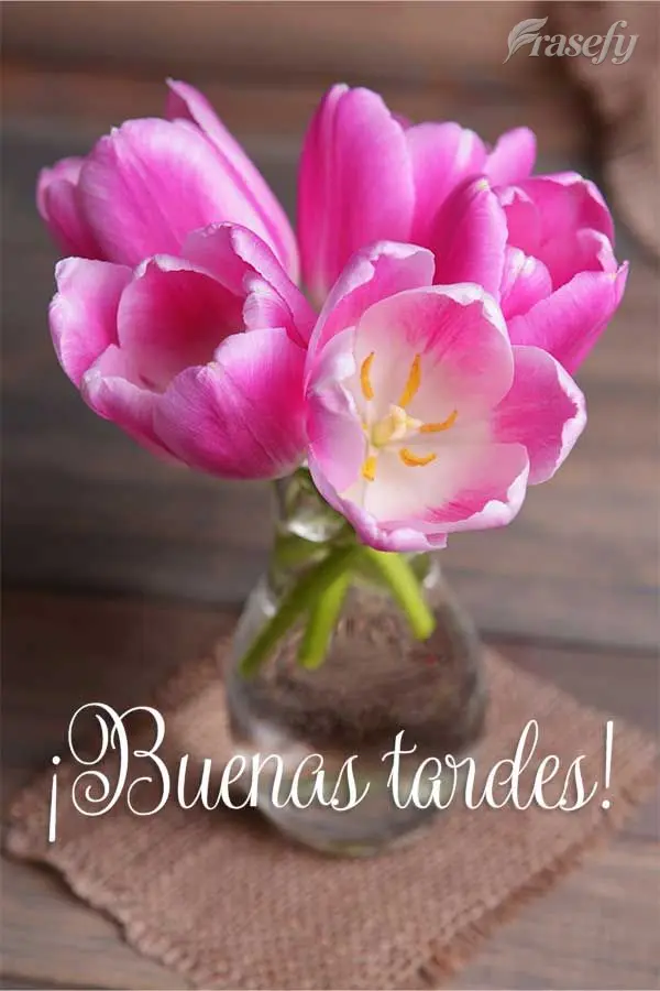 ¡Buenas tardes!