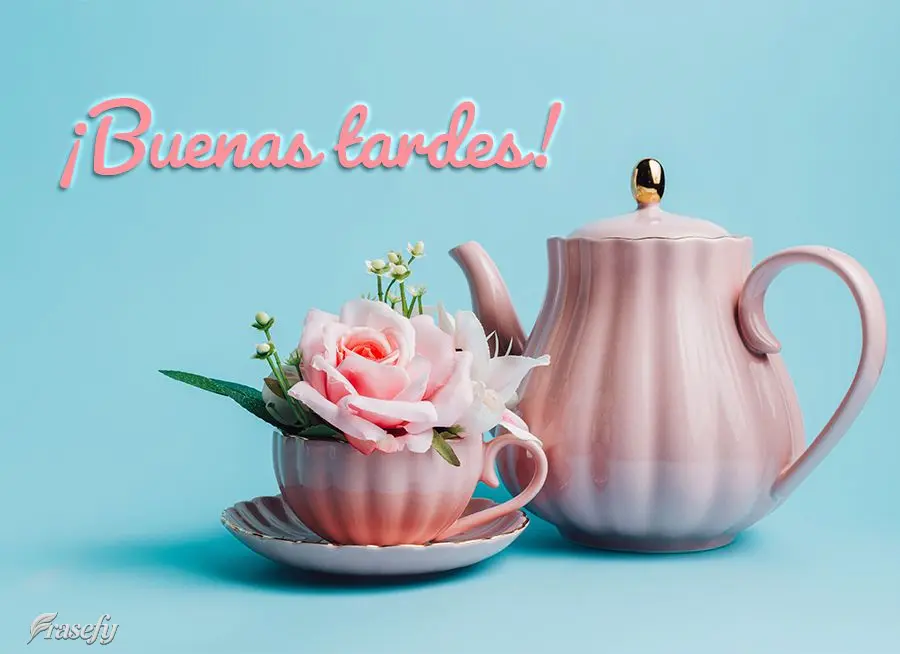 ¡Buenas tardes!