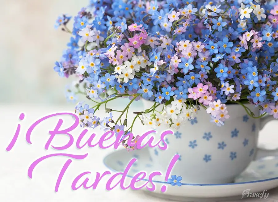 ¡Buenas tardes!