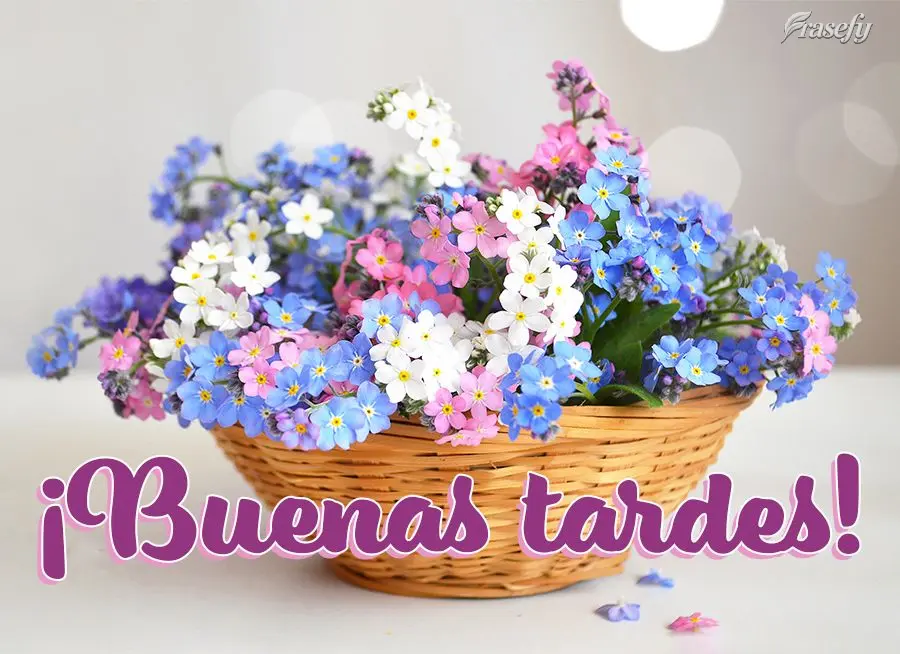 ¡Buenas tardes!