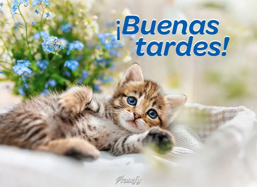 ¡Buenas tardes!
