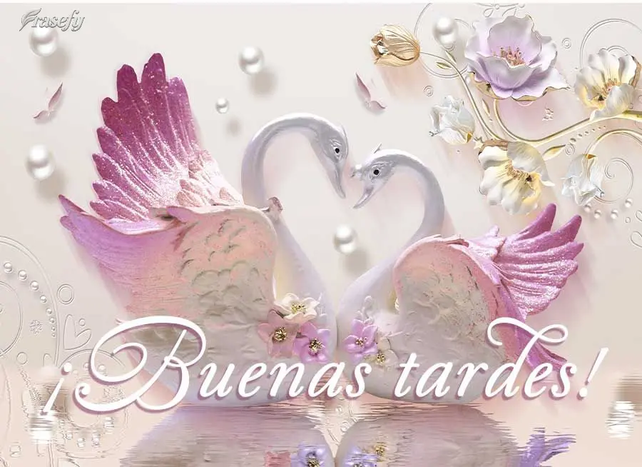 ¡Buenas tardes!