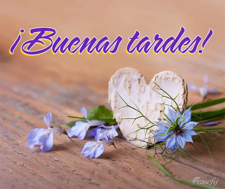 ¡Buenas tardes!