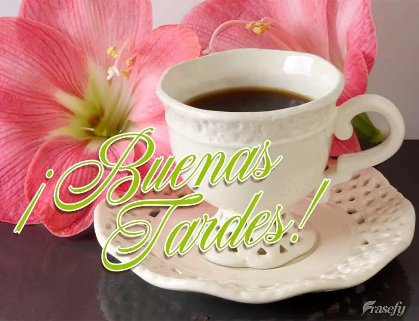 ¡Buenas tardes!