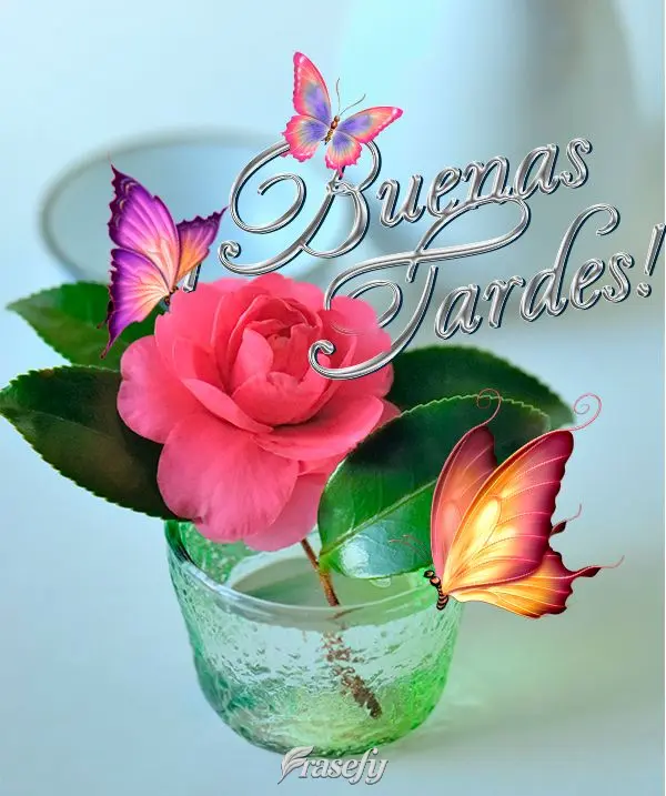 ¡Buenas tardes!