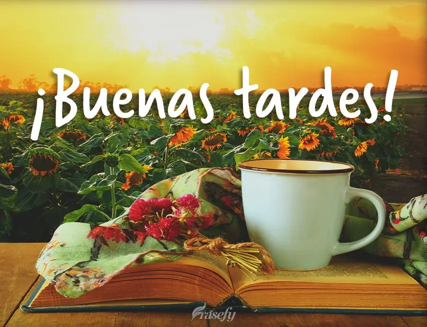 ¡Buenas tardes!