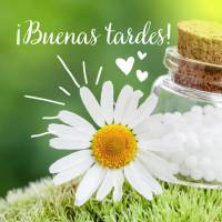¡Buenas tardes!