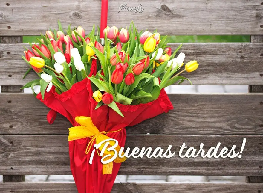 ¡Buenas tardes!