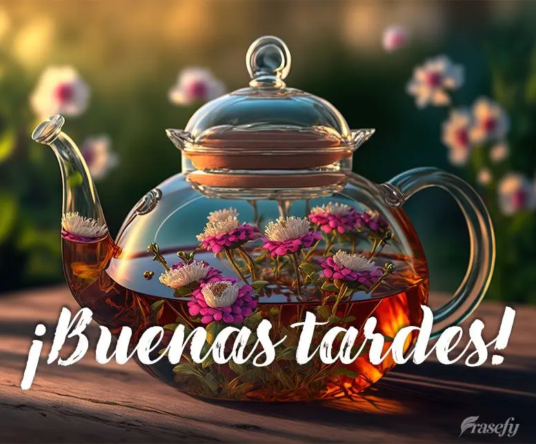 ¡Buenas tardes!