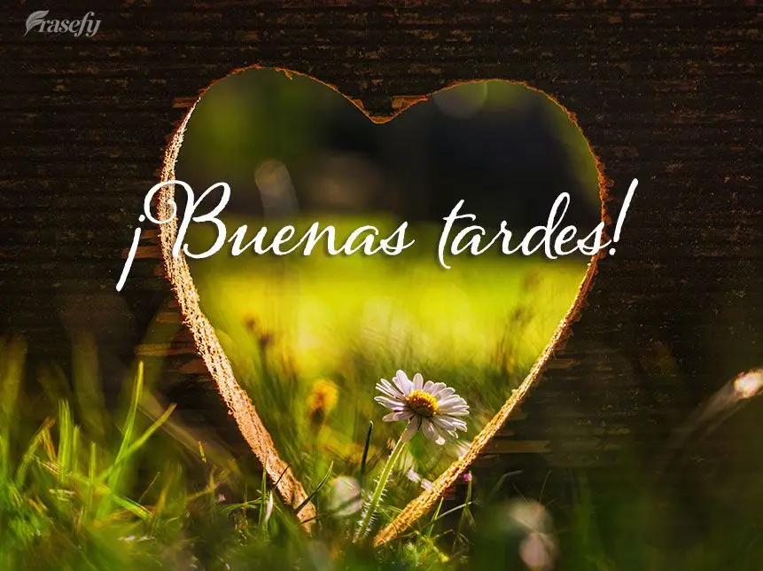 ¡Buenas tardes!