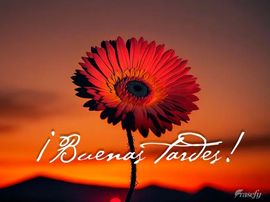 ¡Buenas tardes!