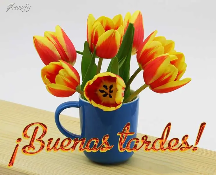 ¡Buenas tardes!