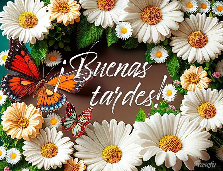 ¡Buenas tardes!