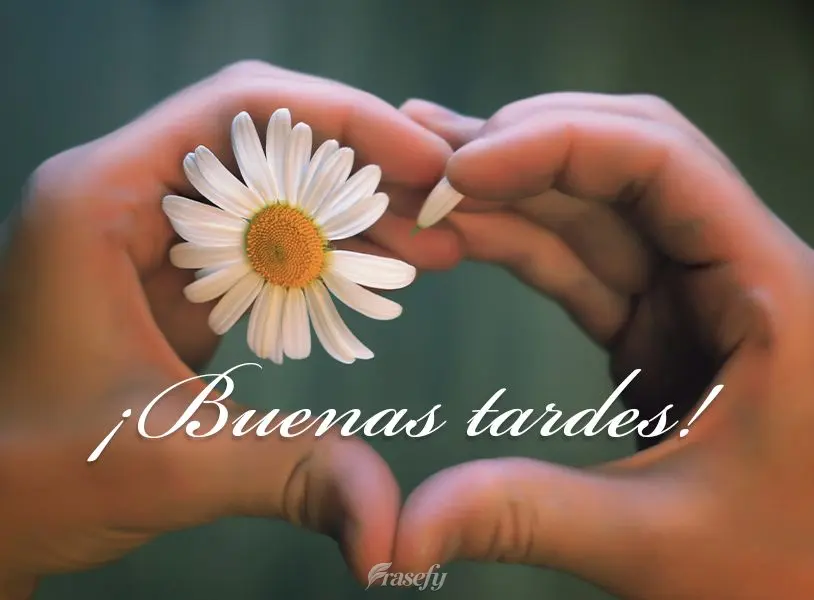 ¡Buenas tardes!