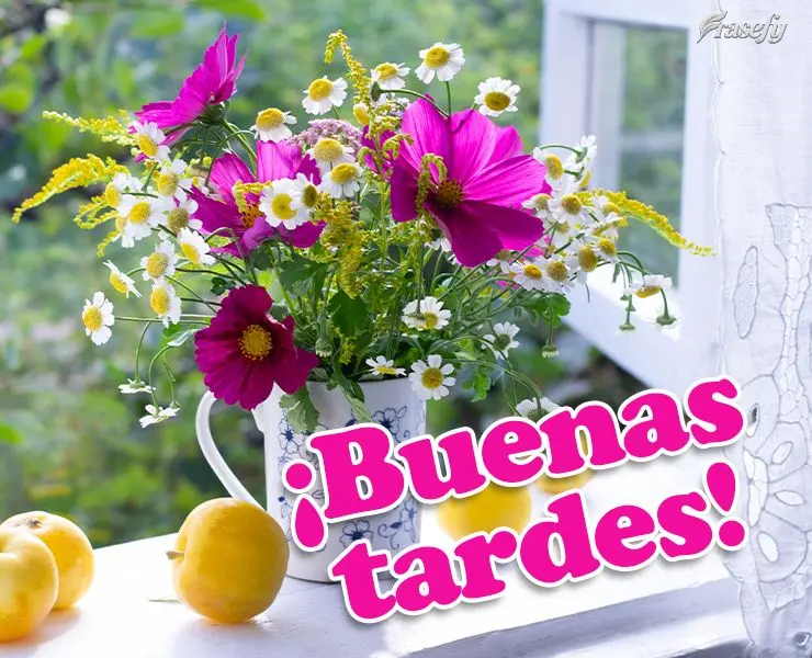 ¡Buenas tardes!