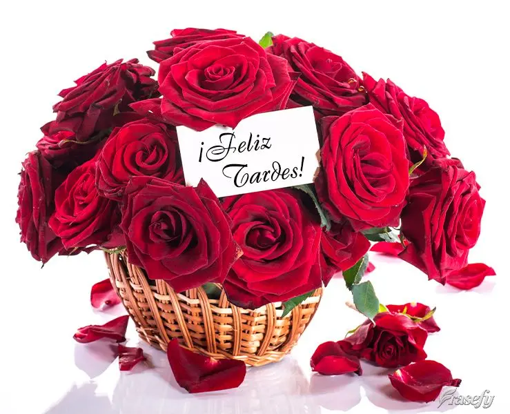 ¡Feliz tardes!