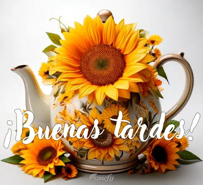 ¡Buenas tardes!