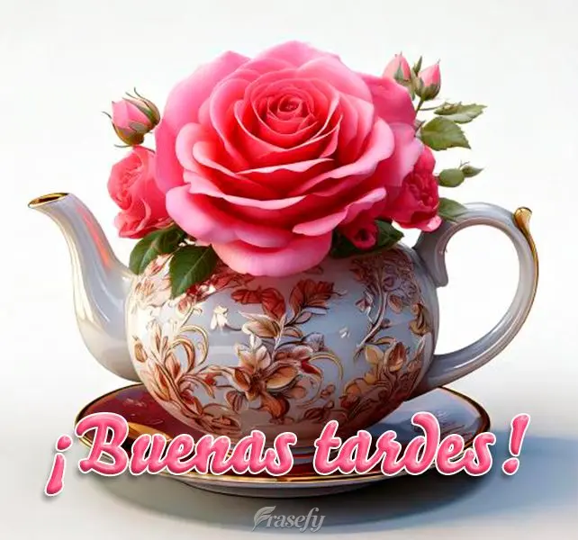 ¡Buenas tardes!