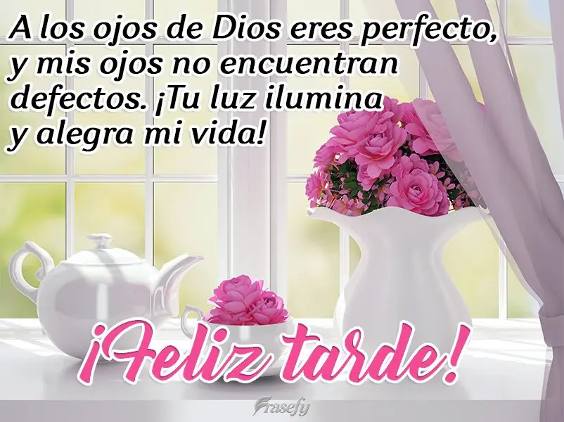 A los ojos de Dios eres perfecto, y mis ojos no encuentran defectos. ¡Tu luz ilumina y alegra mi vida! ¡Feliz tarde!